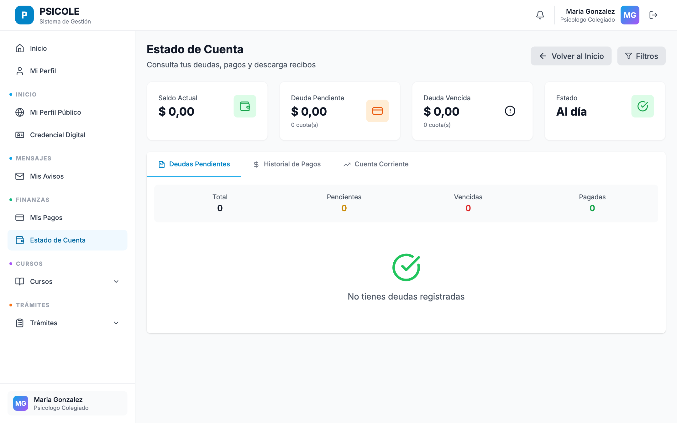 Pestaña Finanzas del perfil del profesional con resumen y listado de deudas